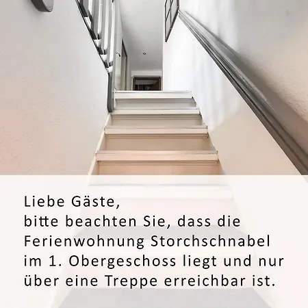 Haus Andrea - Storchschnabel